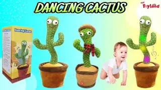 Rechargeable Dancing Cactus | Talking Cactus | Cactus Plush Toy