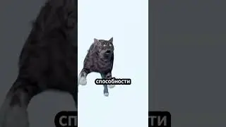 Всегда ли кошки приземляются на лапы? 🐱 