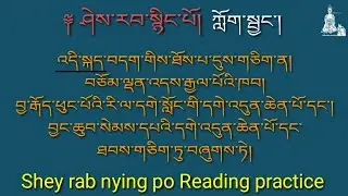 ཤེས་རབ་སྙིང་པོ། ཀློག་སྦྱང་། reading practice. shey rab Nying po #namgyalprayer #prayer #buddha