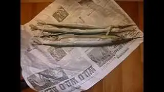 Сарган вяленый -- длиннющий, худющий, вкуснющий!..