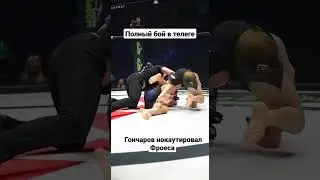 Андрей Гончаров нокаутировал Фелипе Фроеса