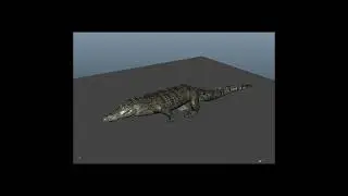 CrocAnims