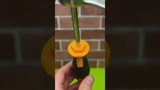 The secret of the screwdriver