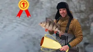 How I won Pro UK Perch League and donated prizes to kids