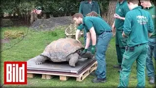 Tierpark Hagenbeck - Inventur im Zoo