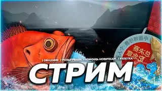 🔥С МЕСТА ⭐ МЕЧ 170 РАЗДАЧА ТРОФЕЕВ + ТРЕСКА 🎁Рулетка & Розыгрыши 🏆 СТРИМ РР4