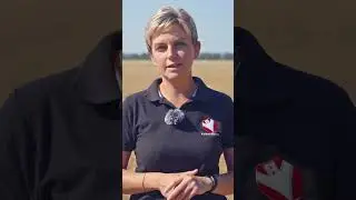 Лущение стерни 