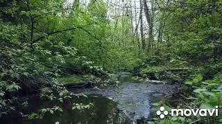 10 часть " Любимые мелодии прошлых лет" на СОН ГРЯДУЩИЙ.