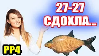 Рабочая Точка на ЛЕЩА на оз. ОСТРОГ ● Русская Рыбалка 4 | РР4