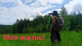 Опять эти ВЫХОДНЫЕ! Прокатился до родных. Обзор крутой ОБНОВЫ! Постой лес.