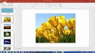 Adding a Photo Album to a Microsoft PowerPoint Presentation