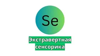 Se - экстравертная сенсорика