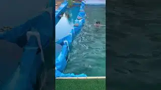 Биобасейн на даче своими руками