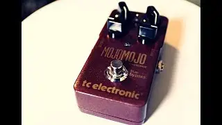 TC Electronic Mojo Mojo Overdrive Pedal Review - It's Paul Gilbert's Favourite Pedal