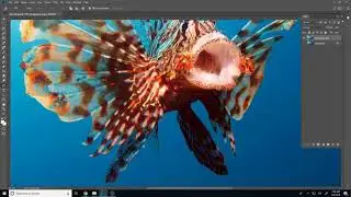 Using the Pen Tool to Cut Out Complex Shapes in Photoshop CC