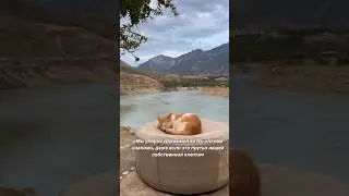 Упражнение на уверенность и успех 👇