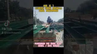 Renovasi Kubah Hari Ke 3 || Musholla Darul Mukarromah Dsn Bedok Ds Bulurejo Kec. Diwek Kab. Jombang