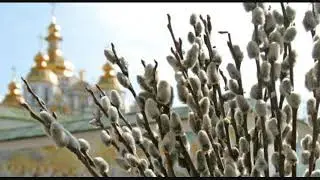 ЛАЗАРЕВА СУБОТА, Мирјана Маринковић