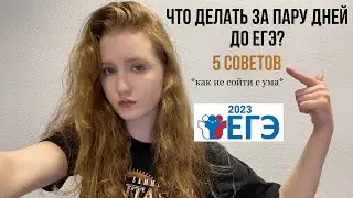 последние дни перед ЕГЭ по русскому - что делать? 5 советов
