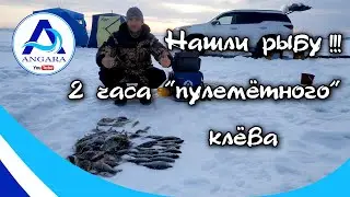 Напластали рыбы за два часа. Зимняя рыбалка на Ангаре.