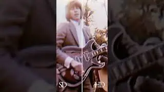 New Bee Gees Videos 