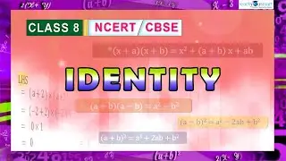 Algebraic Expressions & Identities| Identity |