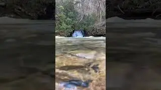 Clear creek #shorts