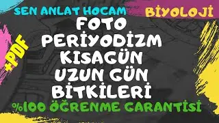 BİTKİ BİYOLOJİSİ KONU ANLATIMI 19 | Fotoperiyodizm (Uzun, Kısa ve Nötr Gün Bitkileri) | ✅