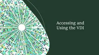 Accessing and Using the VDI