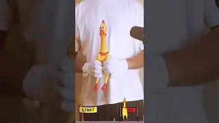 King Lion (Mr.Chicken)