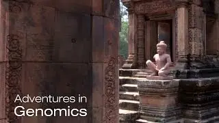 Archaeology of the Invisible - Adventures in Genomics