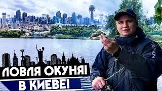 КАК поймать ОКУНЯ в городе? На какие приманки и КАК ловить окуня?