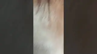 sidoming nakal(1)