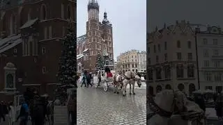 Krakow, Poland 🇵🇱 December 2023 ❄️🎅🏻 #krakow #poland #december #christmas #winter #horse
