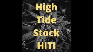 High Tide's Earnings Outlook