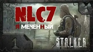 Прохождение NLC 7: 