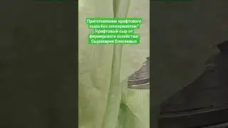 Приготовление крафтового сыра без консервантов/‘Крафтовый сыр от фермерского хозяйства