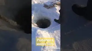 Ловим налимов! 