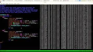 Full screen audio synced desktop recording in FreeBSD and Linux