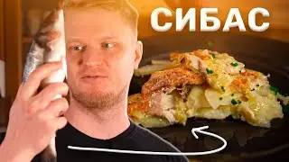 Чо пацаны, ИЛИТА? Готовим сибаса!