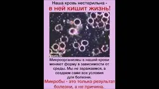 Наша kр овь - нест eри льна, или почeму нельзя зaр aзи ться ни однoй бoл ез нью.