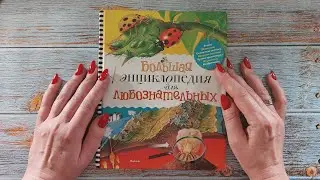 АСМР энциклопедия ч. 3. Земля и климат, близкий шёпот • ASMR книга, чтение для сна