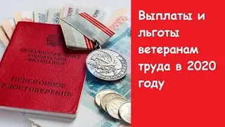 Выплаты и льготы ветеранам труда в 2020 году. Льготы ветеранам труда