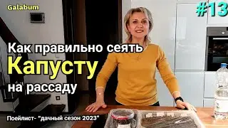 Как Правильно сеять Капусту на рассаду. Разные сорта капусты. 
