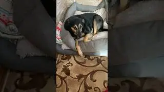 Люся прЫнцесса на горошине😍 
