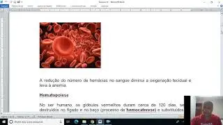 Sangue e coagulação sanguínea