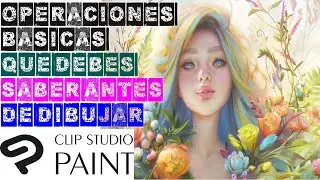 Operaciones básicas del lienzo y atajos CLIP STUDIO PAINT EX
