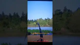Трофейный Карп Линейный Призрак - Русская Рыбалка 4 / Trophy Karp - Russian Fishing 4 