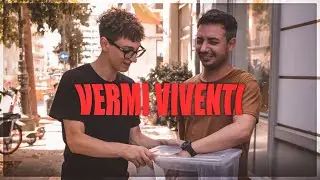 Faccio MANGIARE VERMI VIVI alle persone - scatola misteriosa