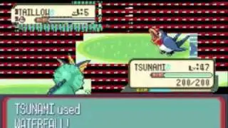 Pokemon Sapphire: This cartridge had too much water...
